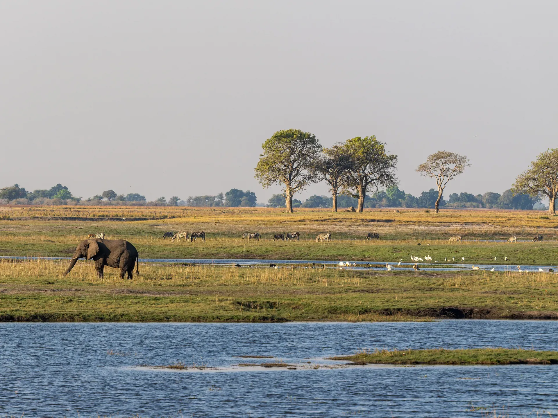 Chobe National Park