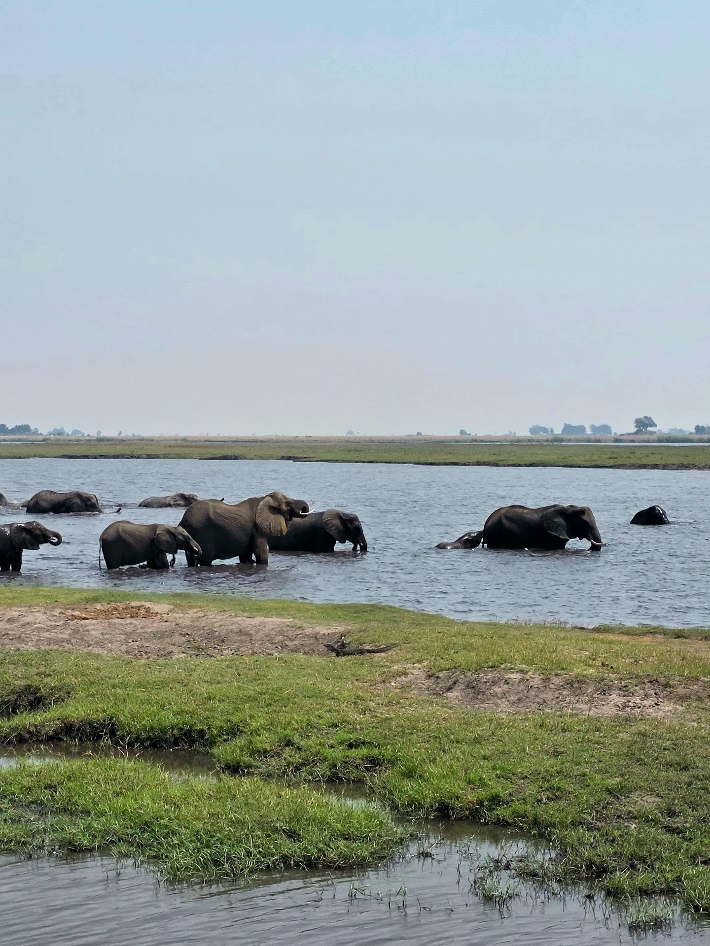 Chobe National Park view