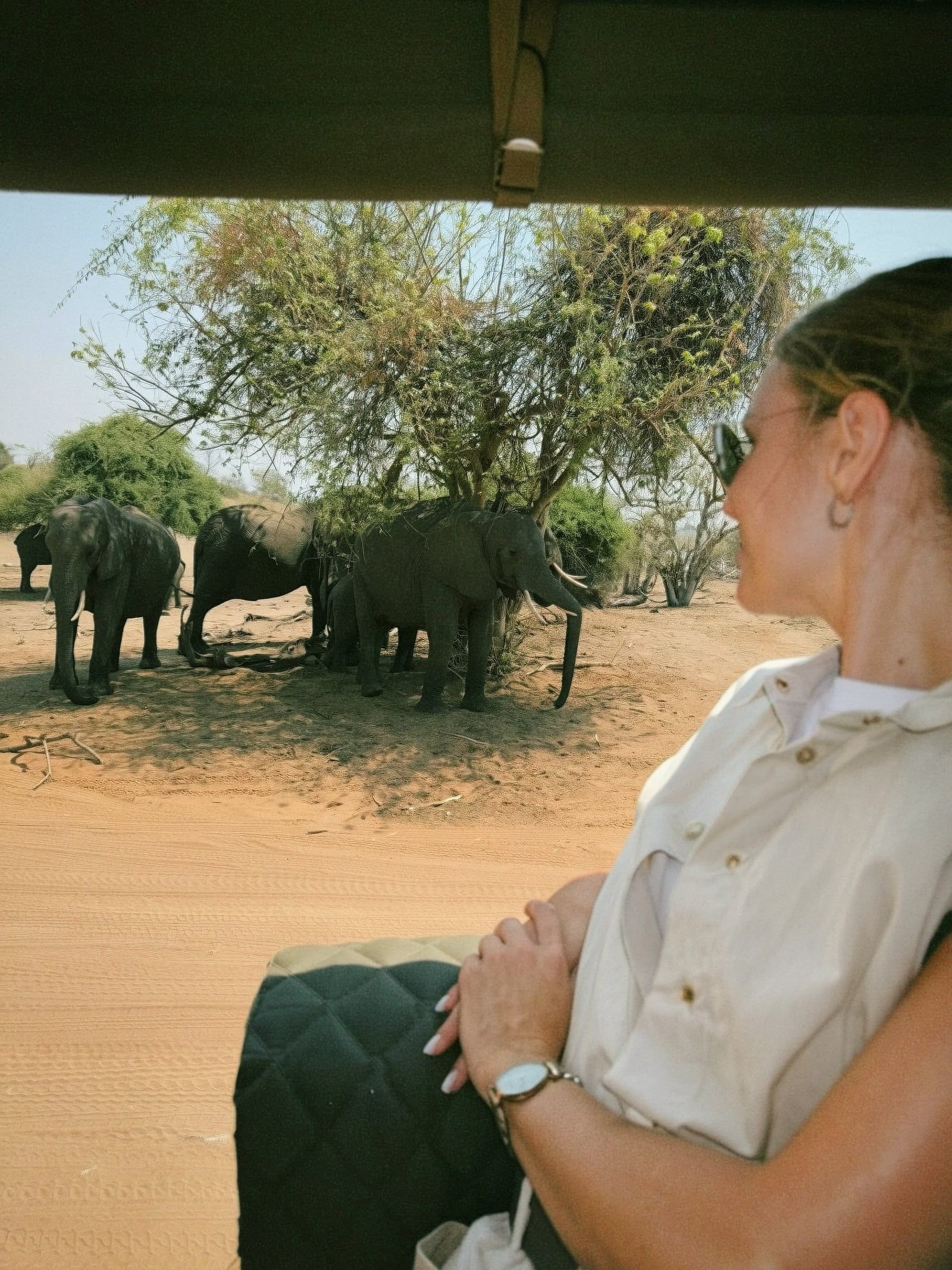 Besucherfoto einer Chobe-Nationalpark Tour