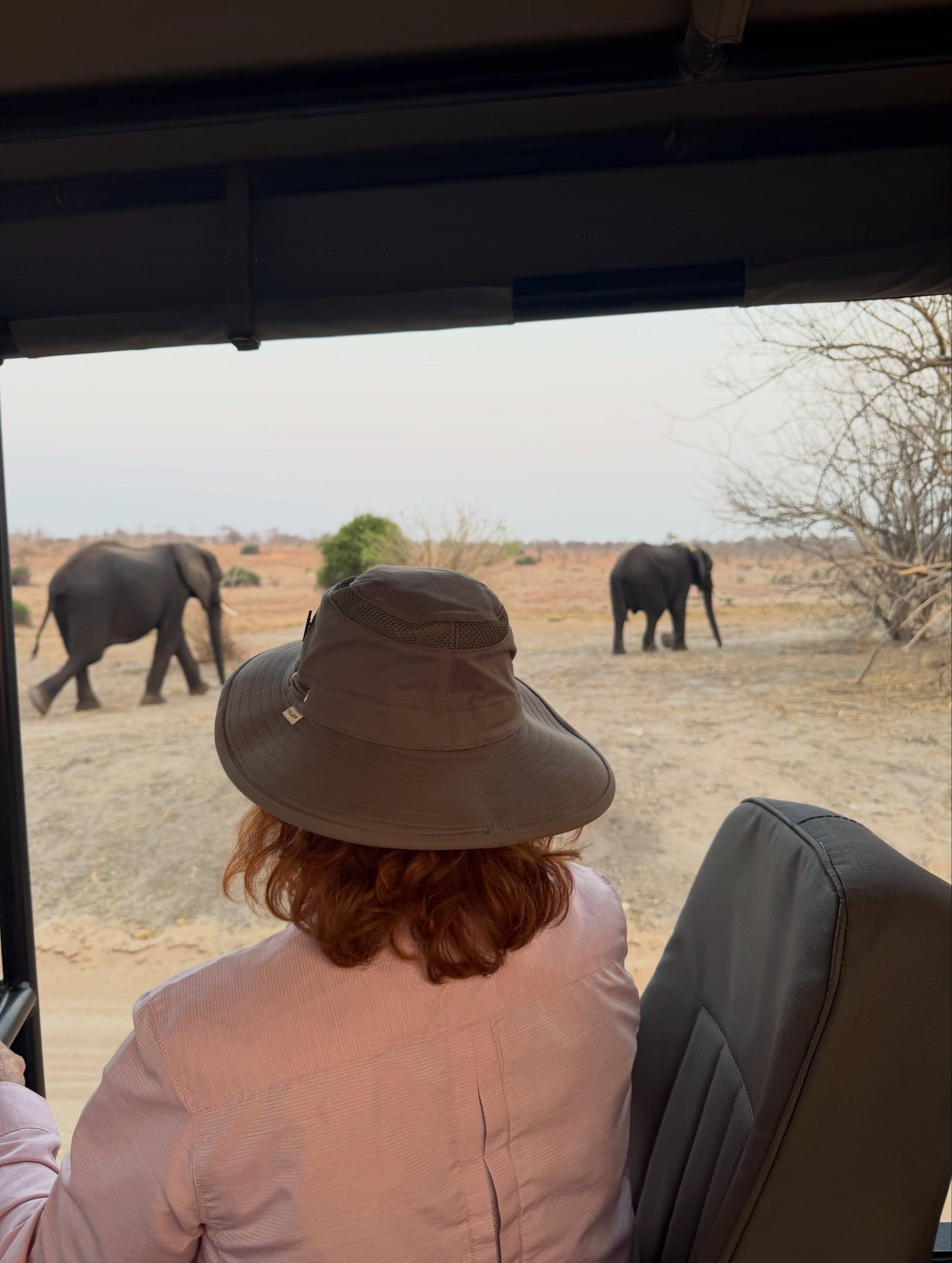 Besucherfoto einer Chobe-Nationalpark Tour